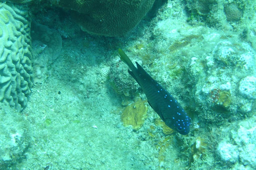 2008-05-21 17-23-44.JPG